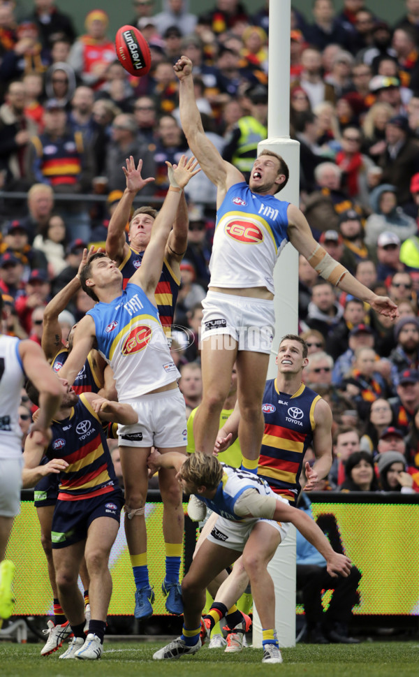 AFL 2015 Rd 17 - Adelaide v Gold Coast - 390864