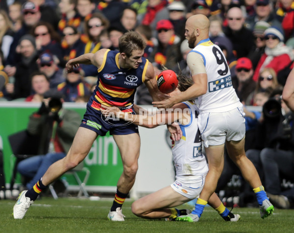 AFL 2015 Rd 17 - Adelaide v Gold Coast - 390829