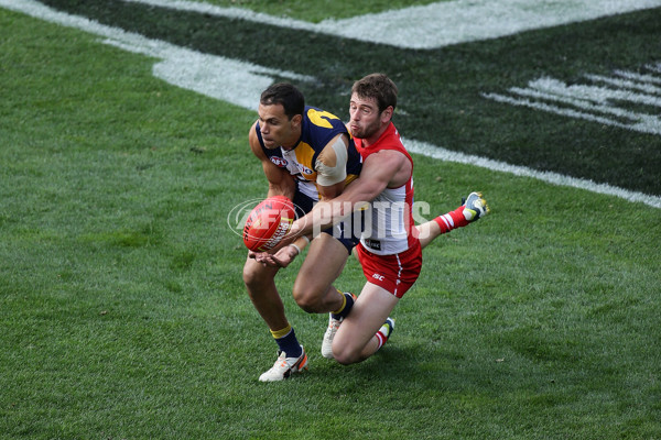 AFL 2015 Rd 17 - West Coast v Sydney - 391740