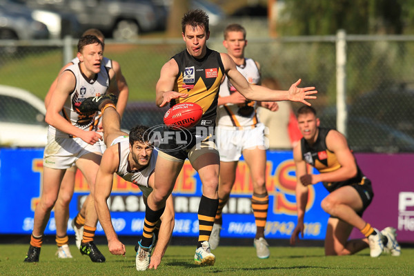 VFL 2015 Rd 15 - Werribee v Box Hill - 391821