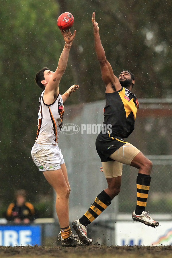 VFL 2015 Rd 15 - Werribee v Box Hill - 391865