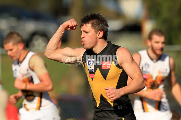 VFL 2015 Rd 15 - Werribee v Box Hill - 391823