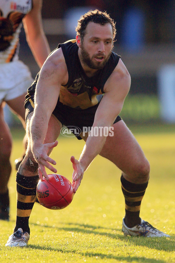 VFL 2015 Rd 15 - Werribee v Box Hill - 391878