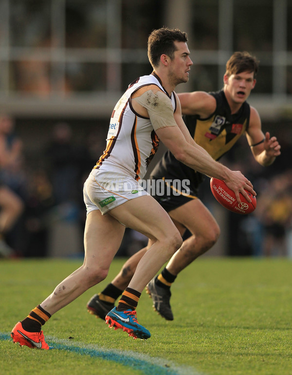 VFL 2015 Rd 15 - Werribee v Box Hill - 391864