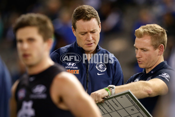 AFL 2015 Rd 18 - Carlton v North Melbourne - 392989