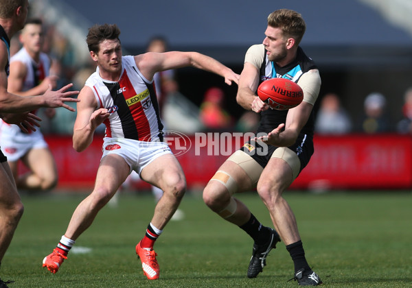 AFL 2015 Rd 18 - Port Adelaide v St Kilda - 393114