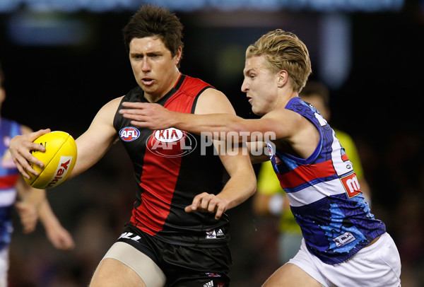 AFL 2015 Rd 18 - Essendon v Western Bulldogs - 393183