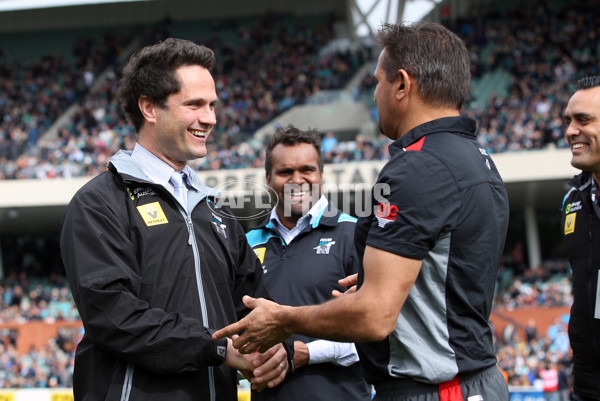 AFL 2015 Rd 18 - Port Adelaide v St Kilda - 393210