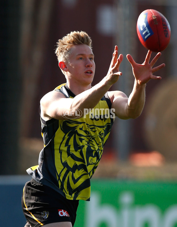 AFL 2015 Training - Richmond 040815 - 393749