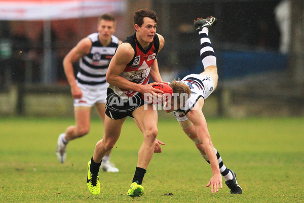 VFL 2015 Rd 16 - Frankston v Geelong - 393897