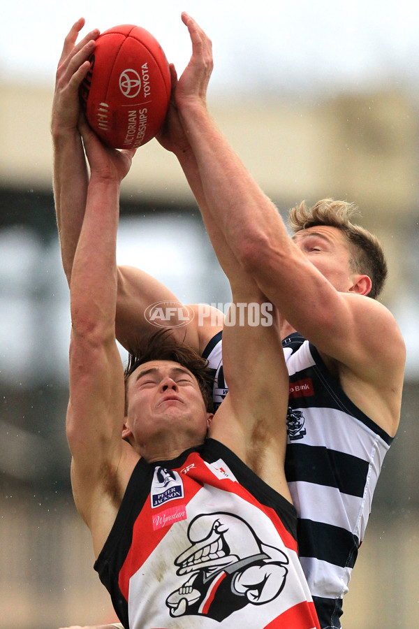 VFL 2015 Rd 16 - Frankston v Geelong - 393894