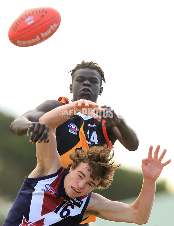 TAC 2015 Rd 15 - Dandenong v Sandringham - 393932