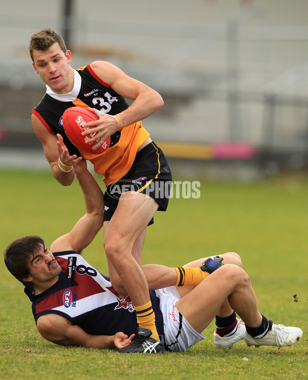 TAC 2015 Rd 15 - Dandenong v Sandringham - 393939