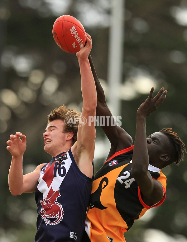 TAC 2015 Rd 15 - Dandenong v Sandringham - 393955