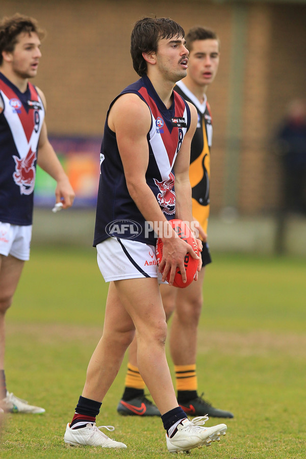 TAC 2015 Rd 15 - Dandenong v Sandringham - 393940