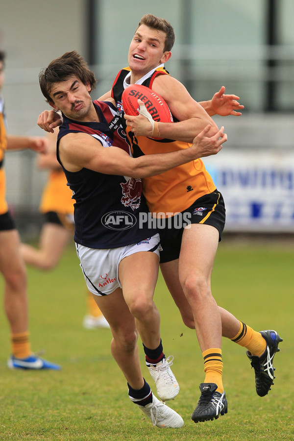 TAC 2015 Rd 15 - Dandenong v Sandringham - 393938