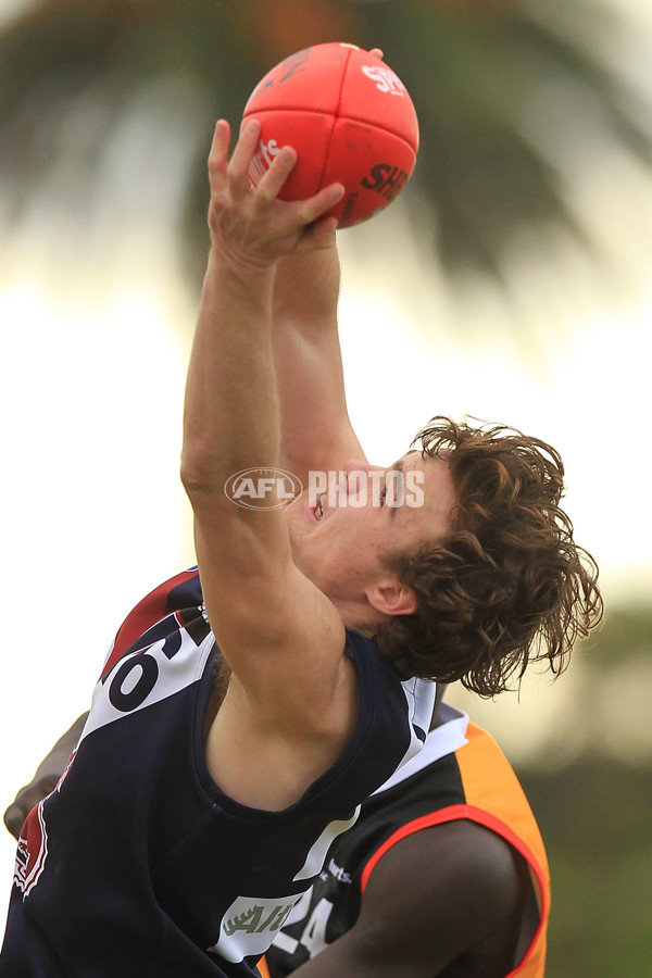 TAC 2015 Rd 15 - Dandenong v Sandringham - 393943