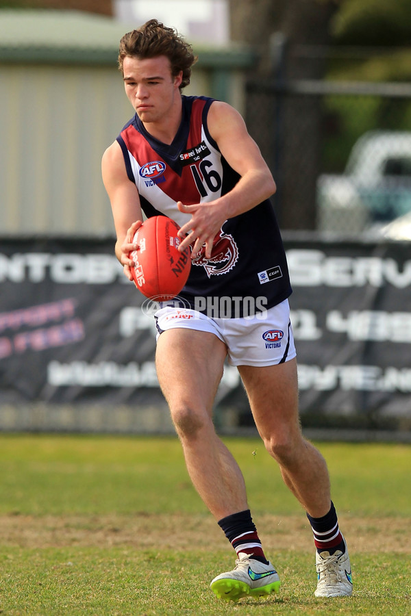 TAC 2015 Rd 15 - Dandenong v Sandringham - 393919