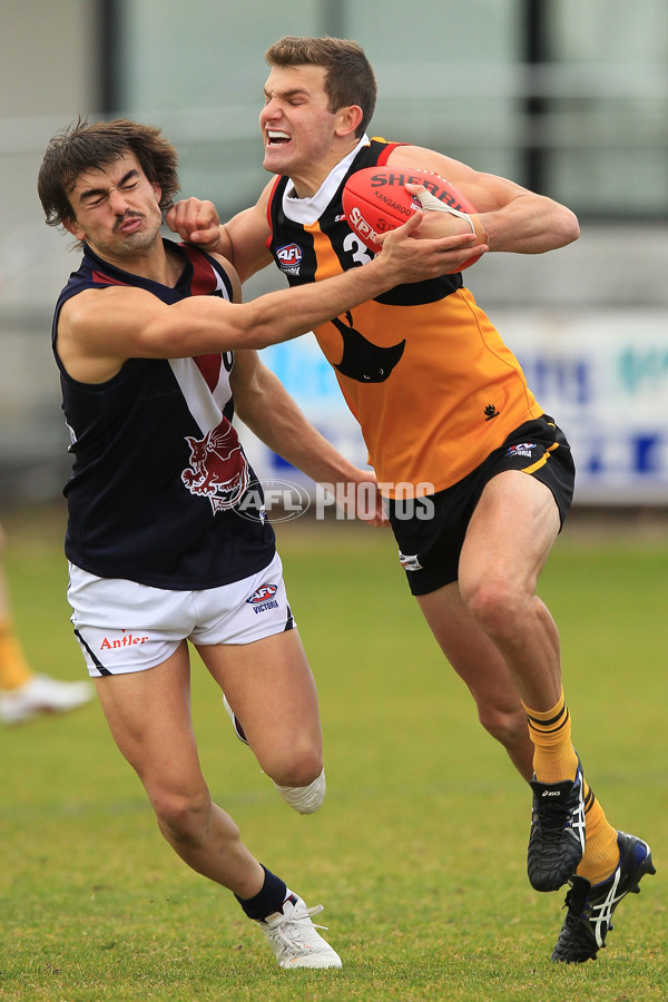 TAC 2015 Rd 15 - Dandenong v Sandringham - 393937