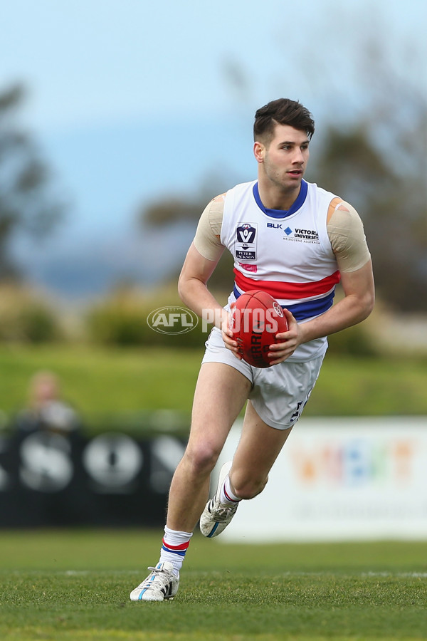VFL 2015 Rd 17 - Williamstown v Footscray - 395350