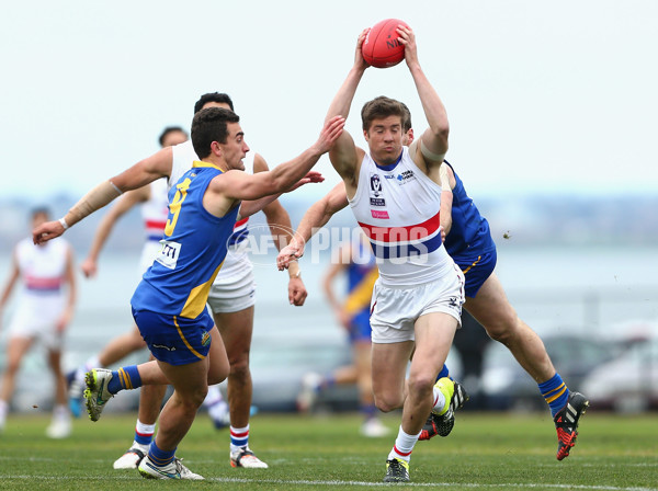 VFL 2015 Rd 17 - Williamstown v Footscray - 395414