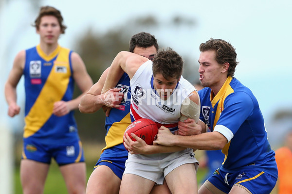 VFL 2015 Rd 17 - Williamstown v Footscray - 395416