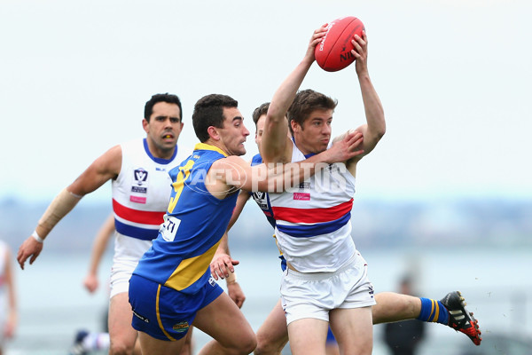 VFL 2015 Rd 17 - Williamstown v Footscray - 395415