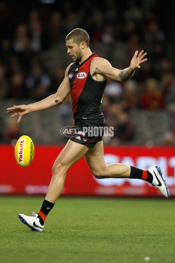 AFL 2015 Rd 20 - Essendon v Adelaide - 395951