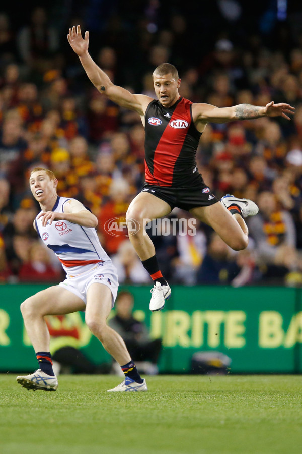 AFL 2015 Rd 20 - Essendon v Adelaide - 395953