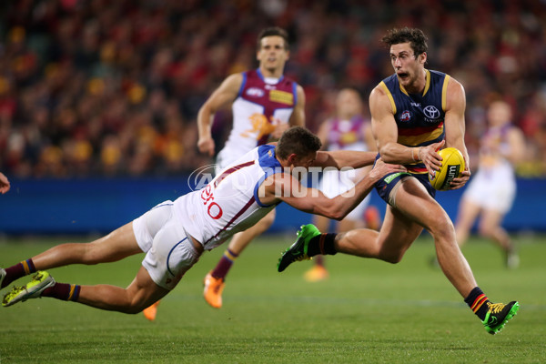 AFL 2015 Rd 21 - Adelaide v Brisbane - 397850