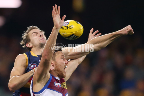 AFL 2015 Rd 21 - Adelaide v Brisbane - 397920