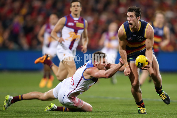 AFL 2015 Rd 21 - Adelaide v Brisbane - 398035