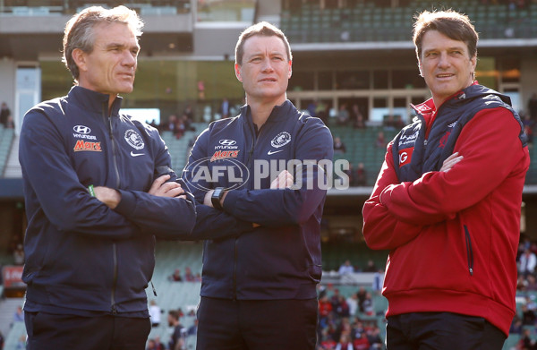 AFL 2015 Rd 21 - Carlton v Melbourne - 398117