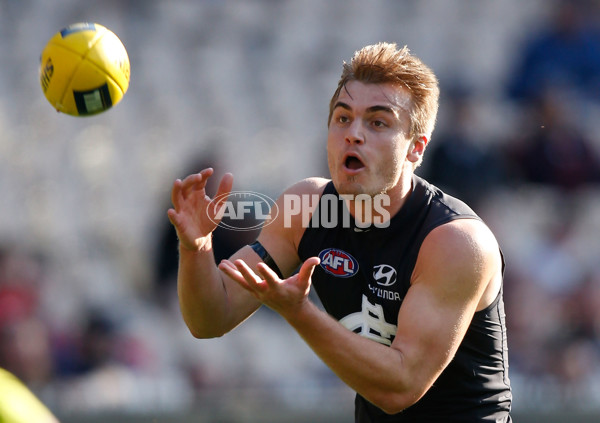 AFL 2015 Rd 21 - Carlton v Melbourne - 398137