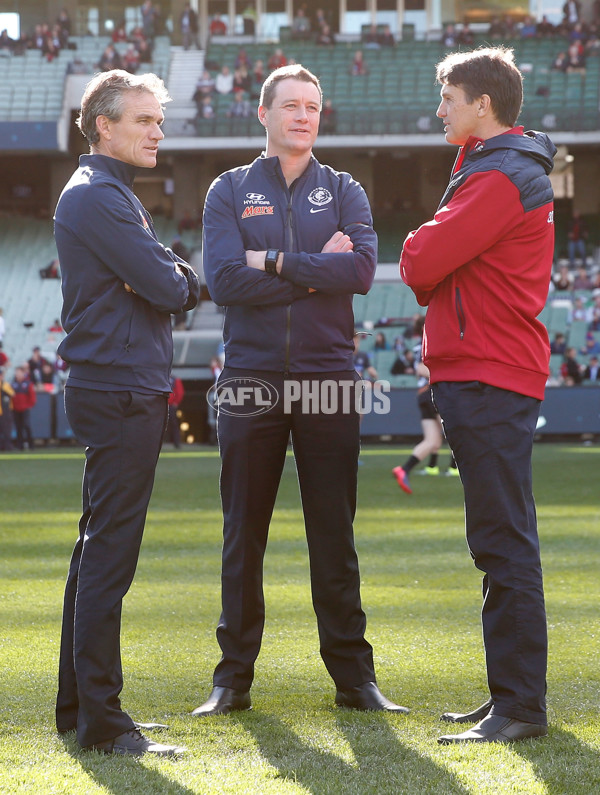 AFL 2015 Rd 21 - Carlton v Melbourne - 398118