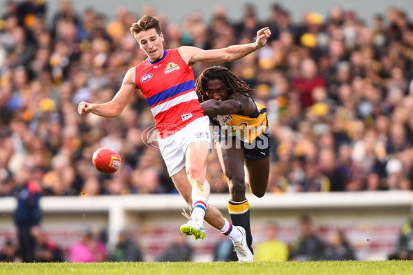AFL 2015 Rd 21 - West Coast v Western Bulldogs - 398416