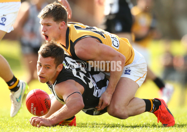 VFL 2015 Rd 19 - Collingwood v Richmond - 398549