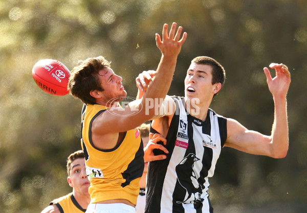 VFL 2015 Rd 19 - Collingwood v Richmond - 398572