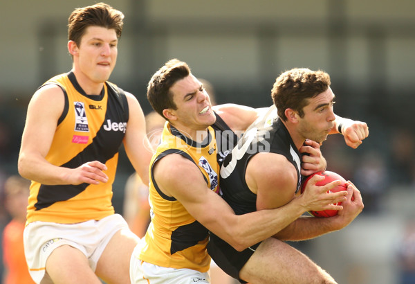 VFL 2015 Rd 19 - Collingwood v Richmond - 398578