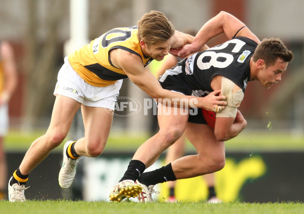 VFL 2015 Rd 19 - Collingwood v Richmond - 398602
