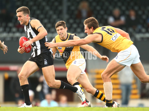 VFL 2015 Rd 19 - Collingwood v Richmond - 398598