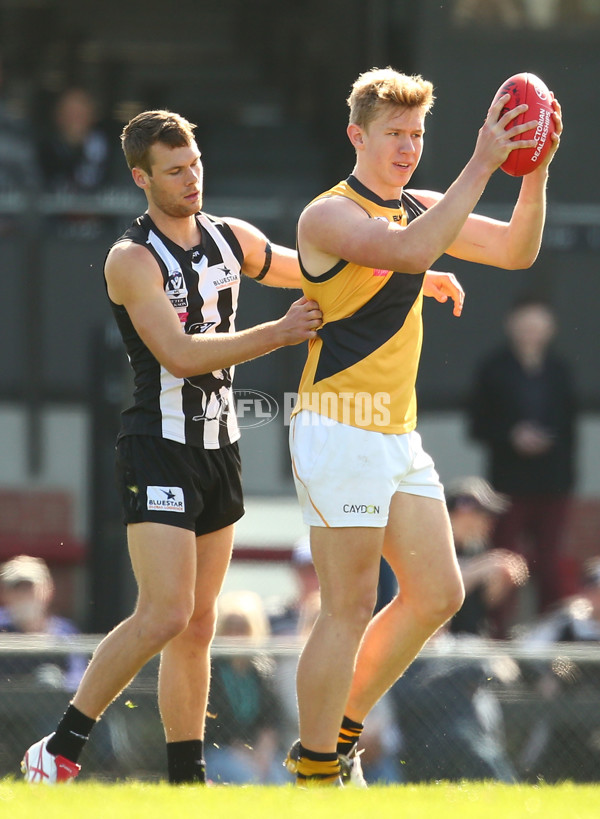 VFL 2015 Rd 19 - Collingwood v Richmond - 398617