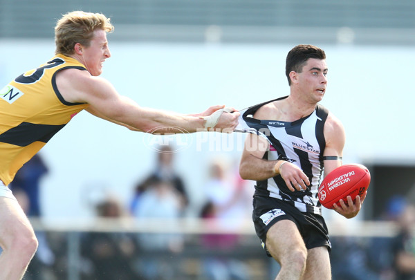 VFL 2015 Rd 19 - Collingwood v Richmond - 398623