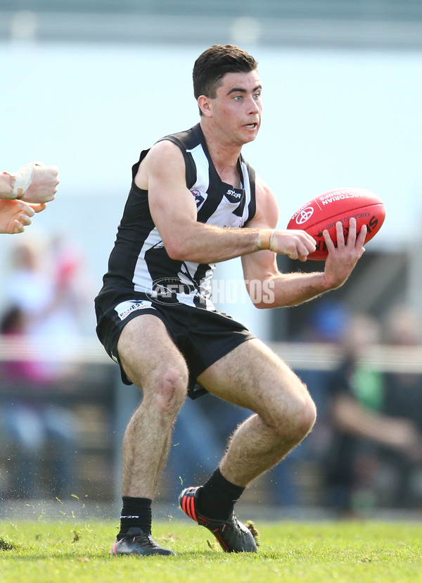 VFL 2015 Rd 19 - Collingwood v Richmond - 398622