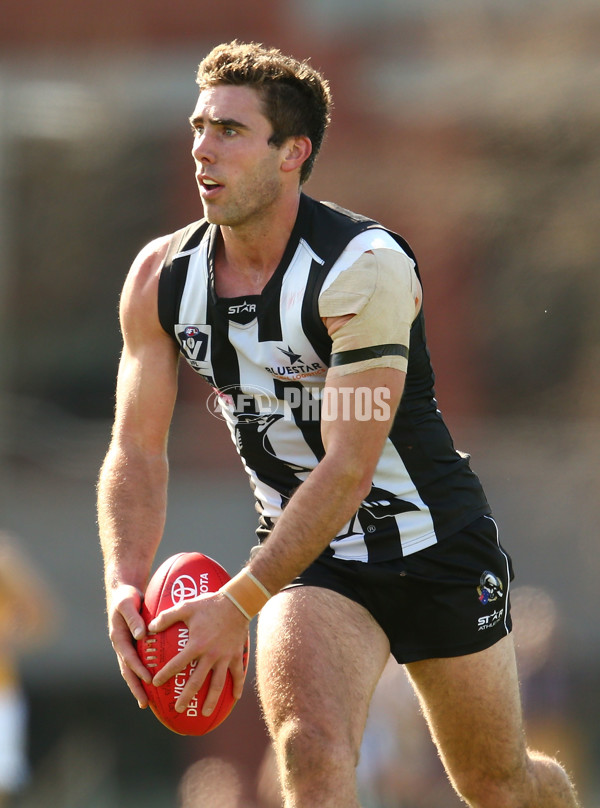 VFL 2015 Rd 19 - Collingwood v Richmond - 398632