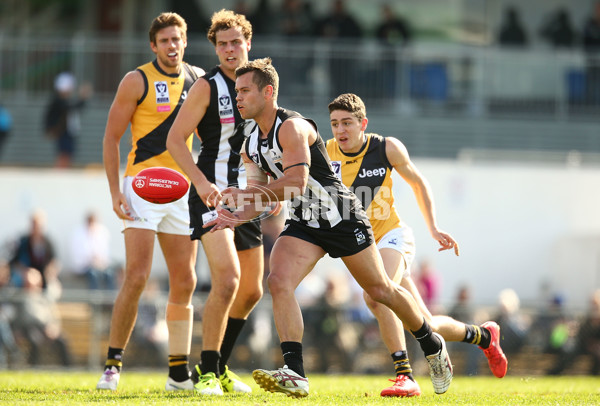 VFL 2015 Rd 19 - Collingwood v Richmond - 398648