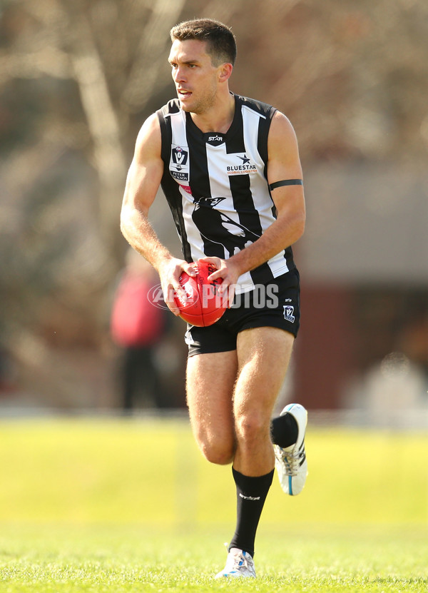 VFL 2015 Rd 19 - Collingwood v Richmond - 398640