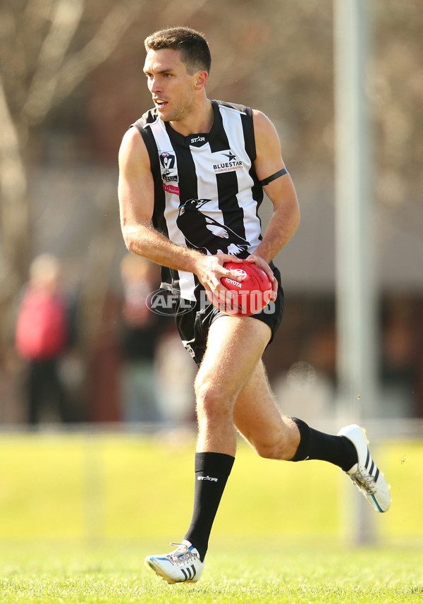 VFL 2015 Rd 19 - Collingwood v Richmond - 398641