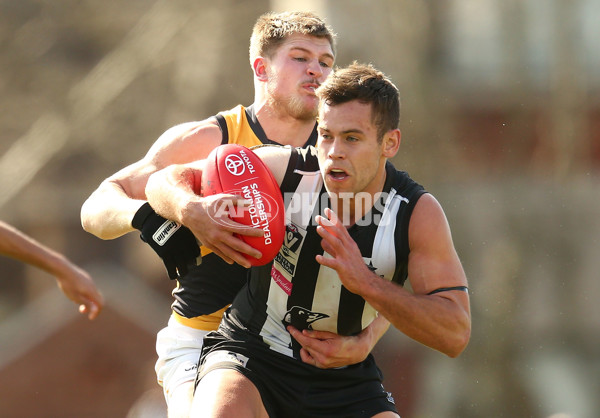 VFL 2015 Rd 19 - Collingwood v Richmond - 398637