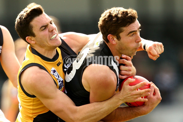 VFL 2015 Rd 19 - Collingwood v Richmond - 398571